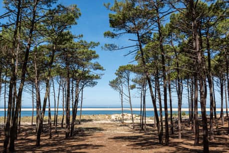 PROXIMED Landes